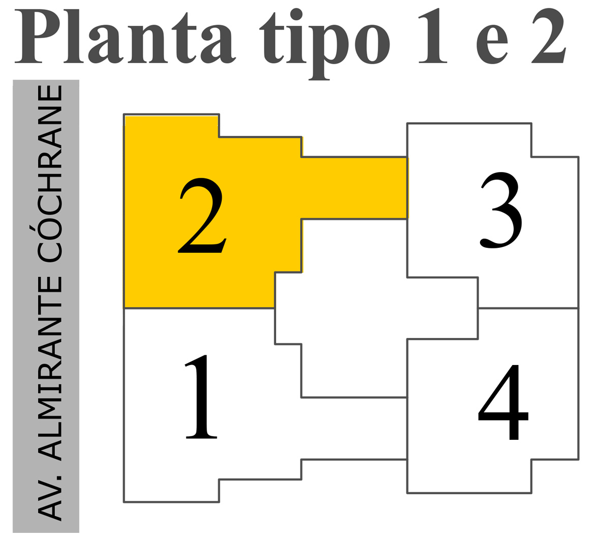 mapinha planta1-2